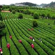 贵州绿穗农业科技有限公司